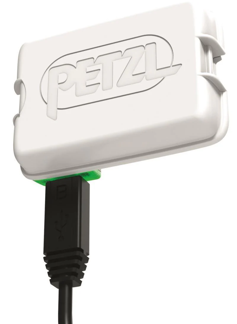 Accu Swift RL Battery Replacement - Image 2