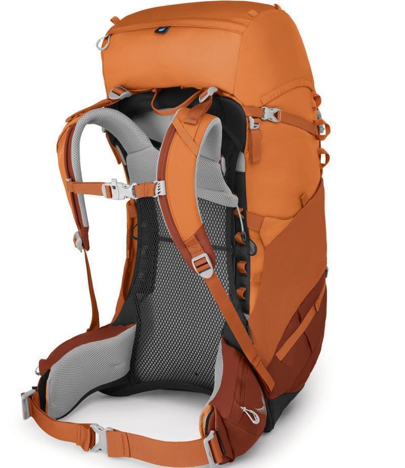 Ace 50 - Youth - Image 2