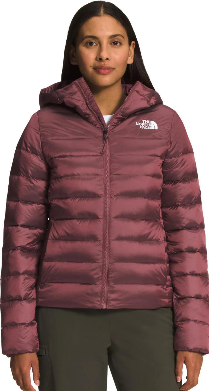 Aconcagua Hoodie - Womens - Image 9
