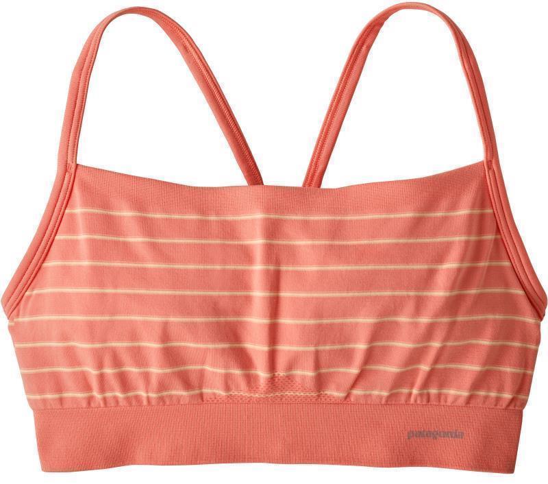 Active Mesh Bra - Image 5