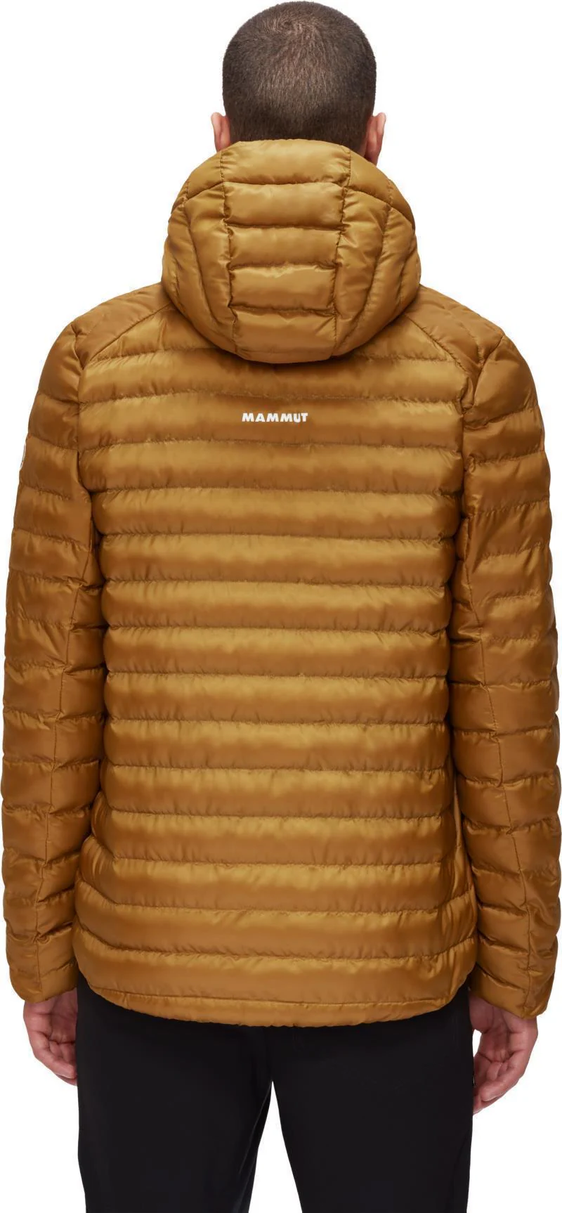 Albula IN Hooded Jacket - Mens - Image 4