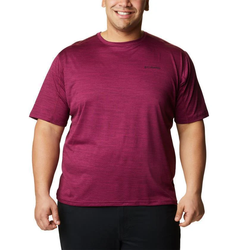 Alpine Chill Zero SS Crew - Big - Mens - Image 24