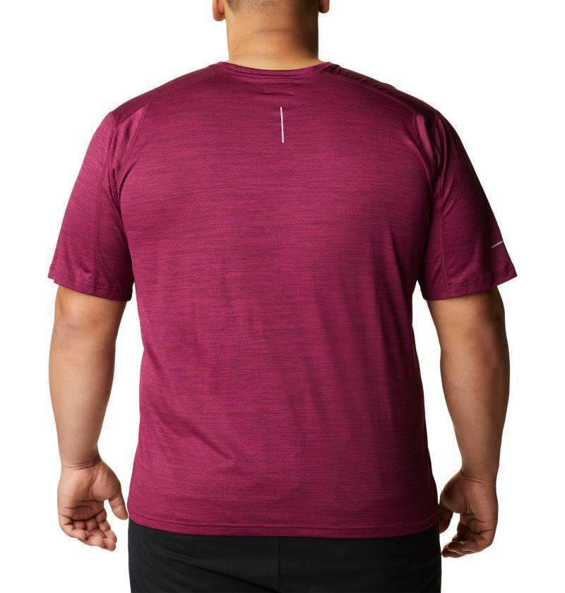 Alpine Chill Zero SS Crew - Big - Mens - Image 25