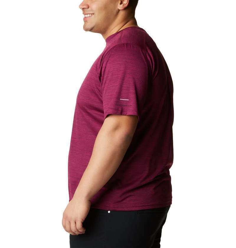 Alpine Chill Zero SS Crew - Big - Mens - Image 26
