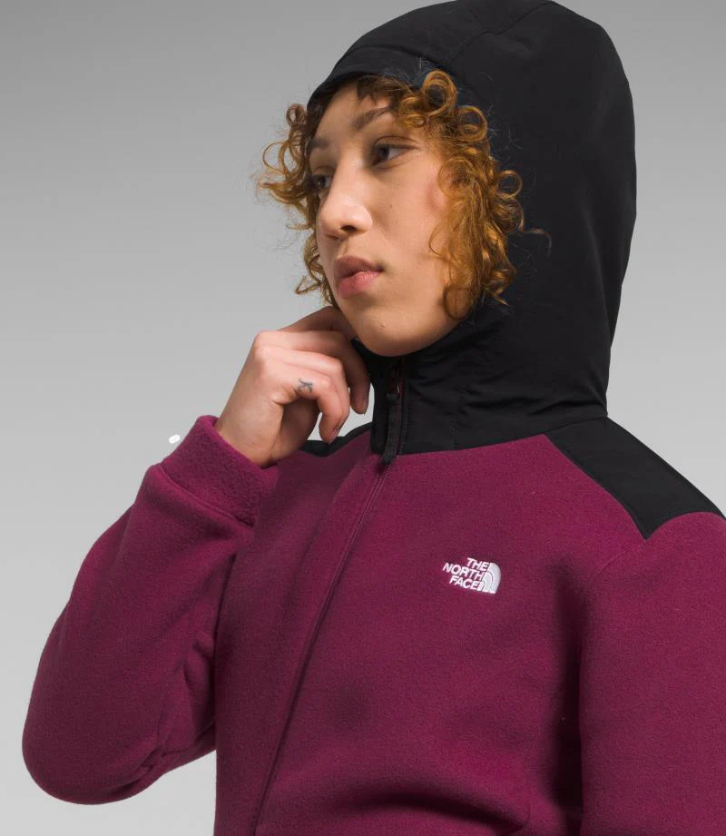 Alpine Polartec 200 Full Zip Hooded Jacket - Womens - Image 6