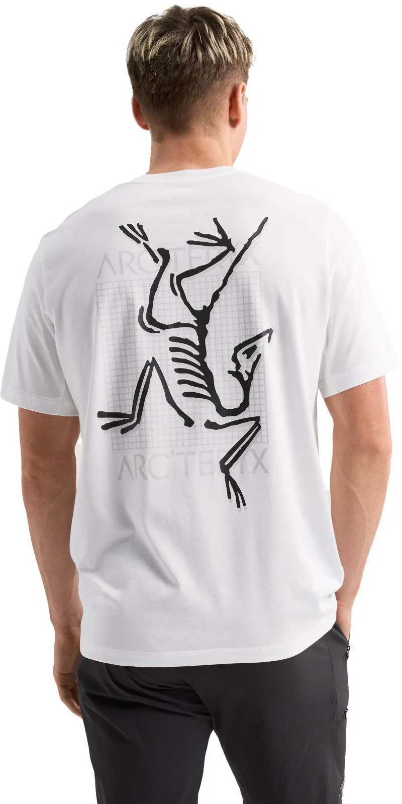 ArcMulti Bird Logo SS - Mens (Prior Season) - Image 3