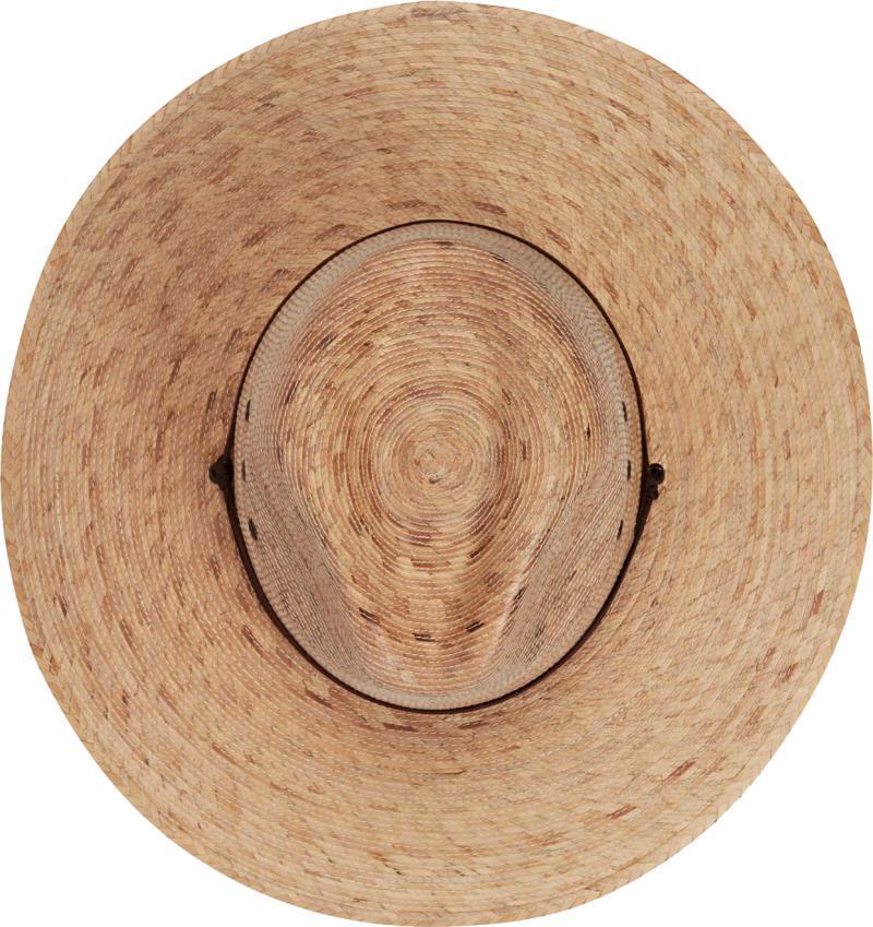 Baja - Image 2