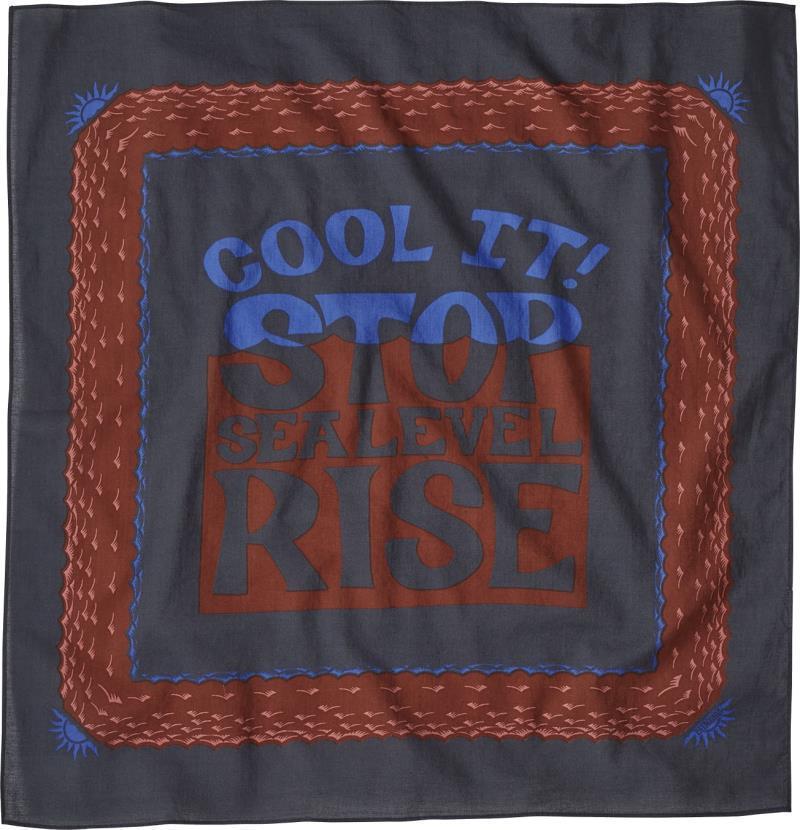 Bandana - Image 14