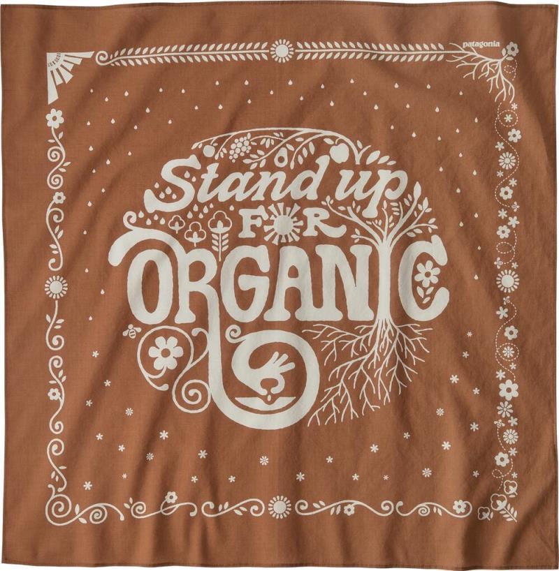 Bandana - Image 7