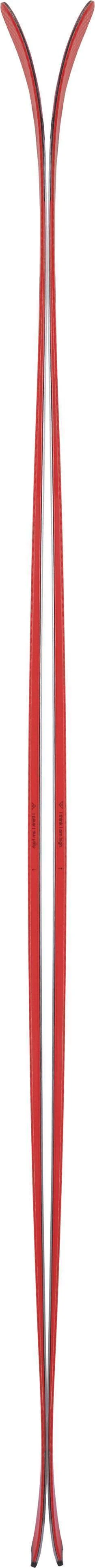 Camox Freebird Skis 2021/2022 - Image 2