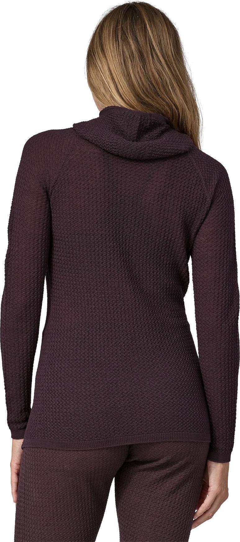 Capilene Air Hoody - Womens - Image 20