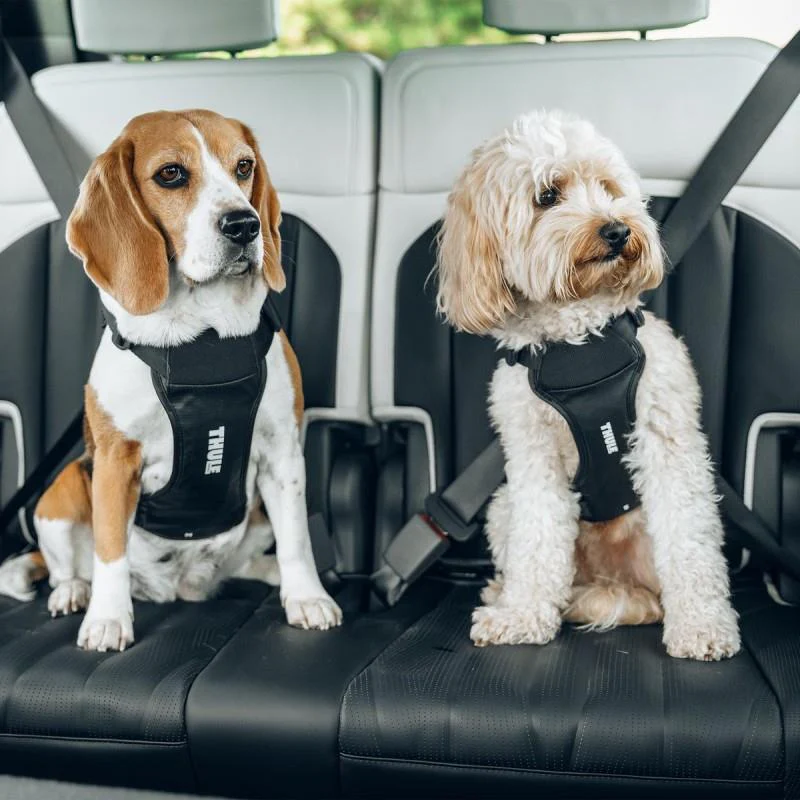 Cappy Dog Car Harness - M - Image 5