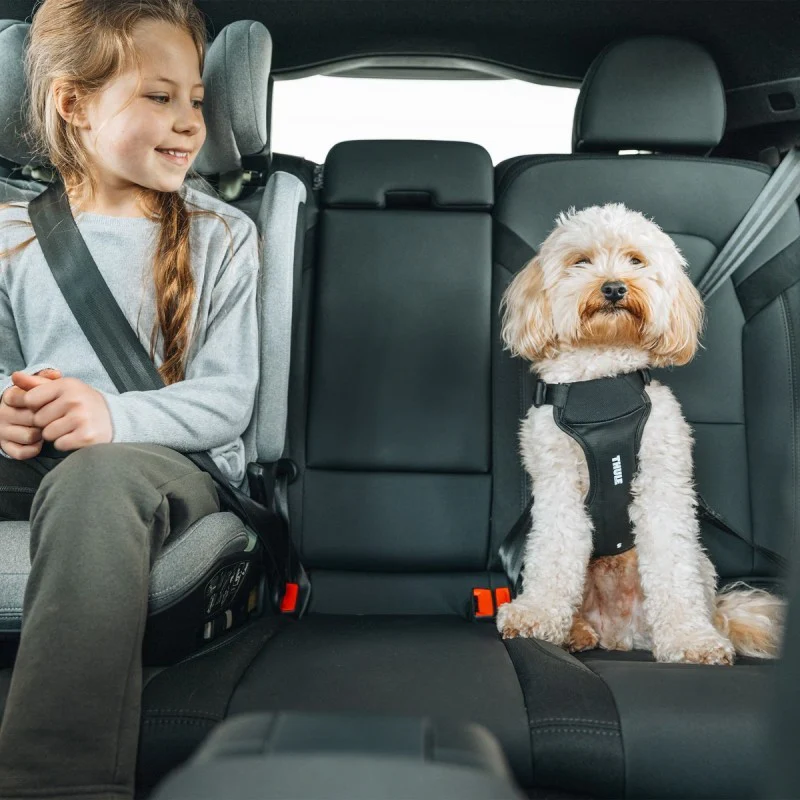 Cappy Dog Car Harness - S - Image 5