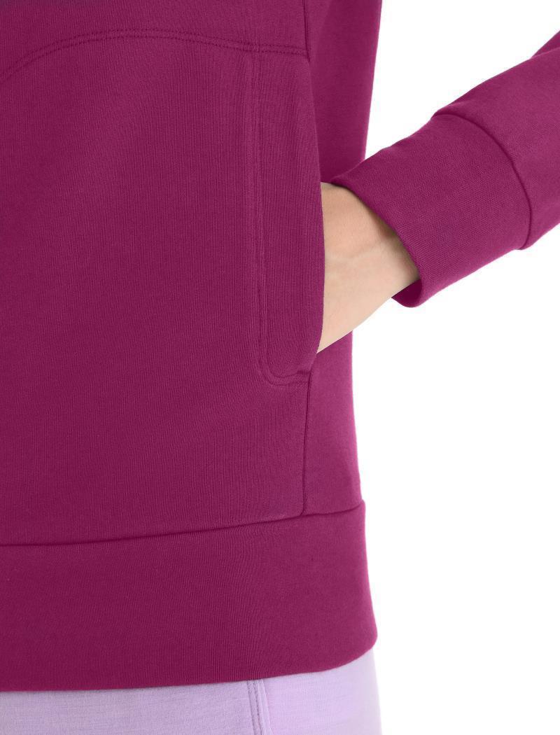 Central Classic LS Zip Hoodie - Womens - Image 14