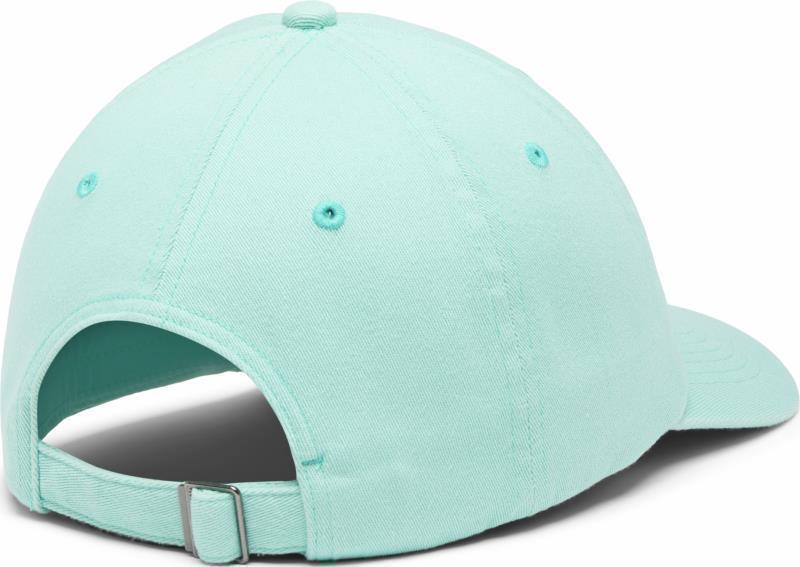 Columbia Logo Dad Cap - Image 12