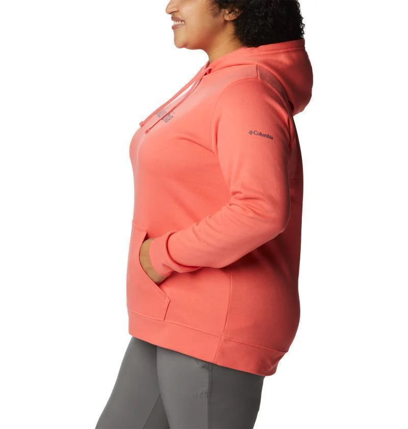 Columbia Trek Graphic Hoodie, Extended - Womens - Image 40