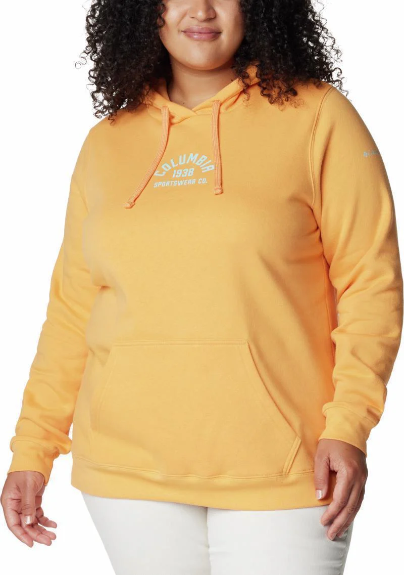 Columbia Trek Graphic Hoodie, Extended - Womens - Image 84