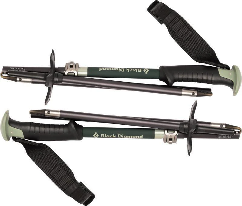 Compactor Ski Poles - Image 3