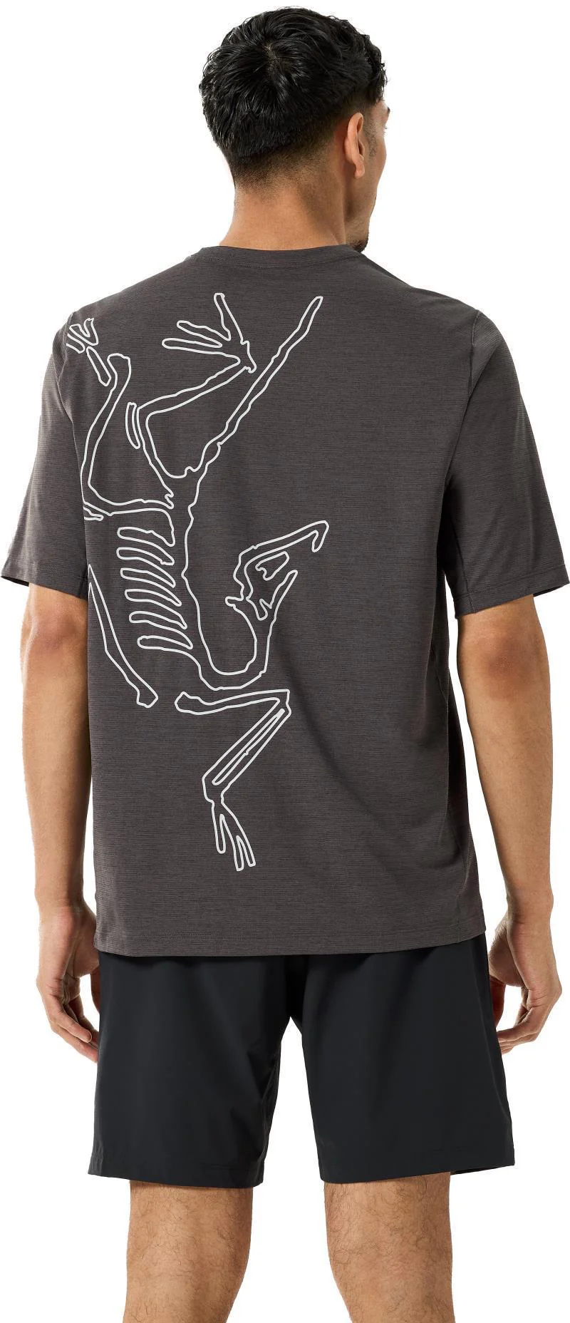 Cormac ArcBird Logo SS - Mens (Prior Season) - Image 6