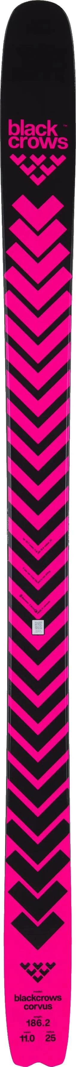 Corvus Skis - Image 4