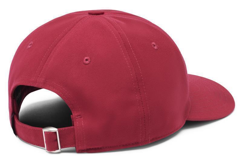 Cotopaxi Dad Hat - Image 2