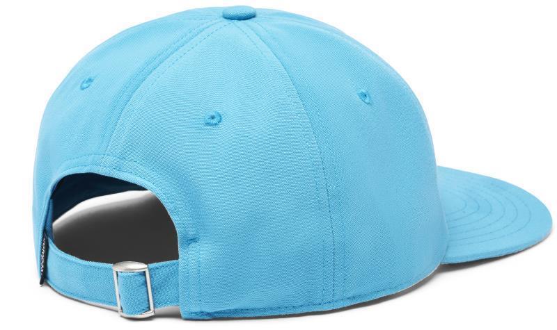 Cotopaxi Dad Hat - Image 4
