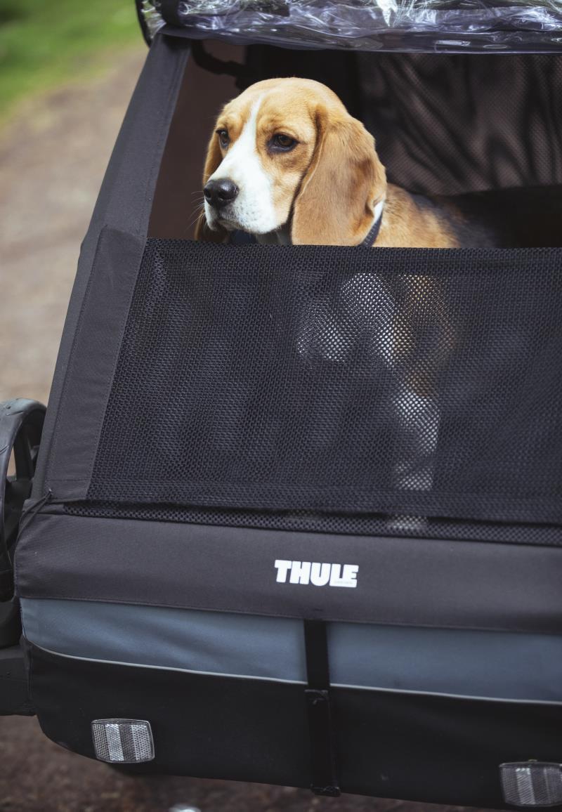 Courier Pet Kit - Image 3