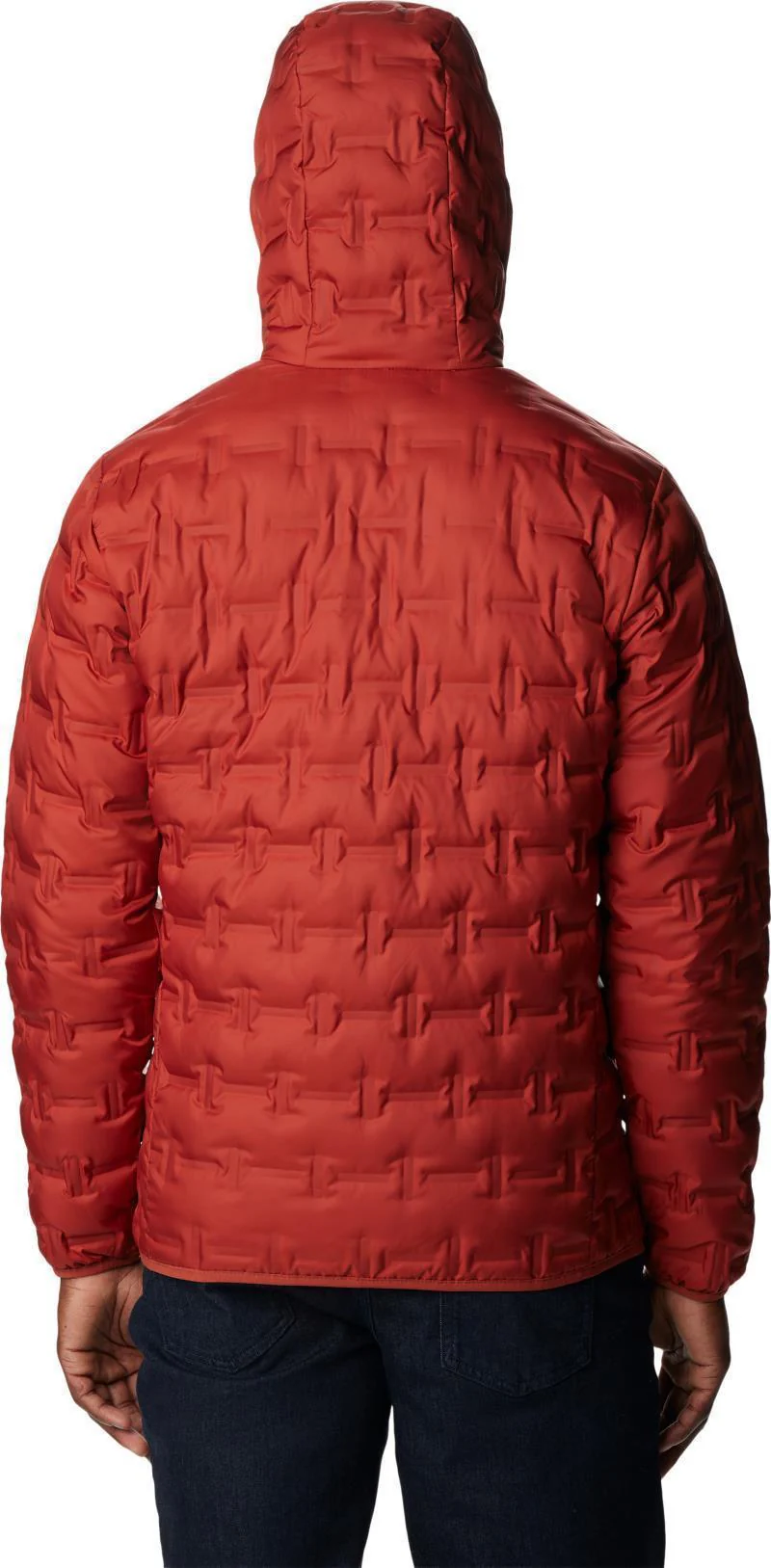 Delta Ridge Down Hooded Jacket - Mens - Image 35