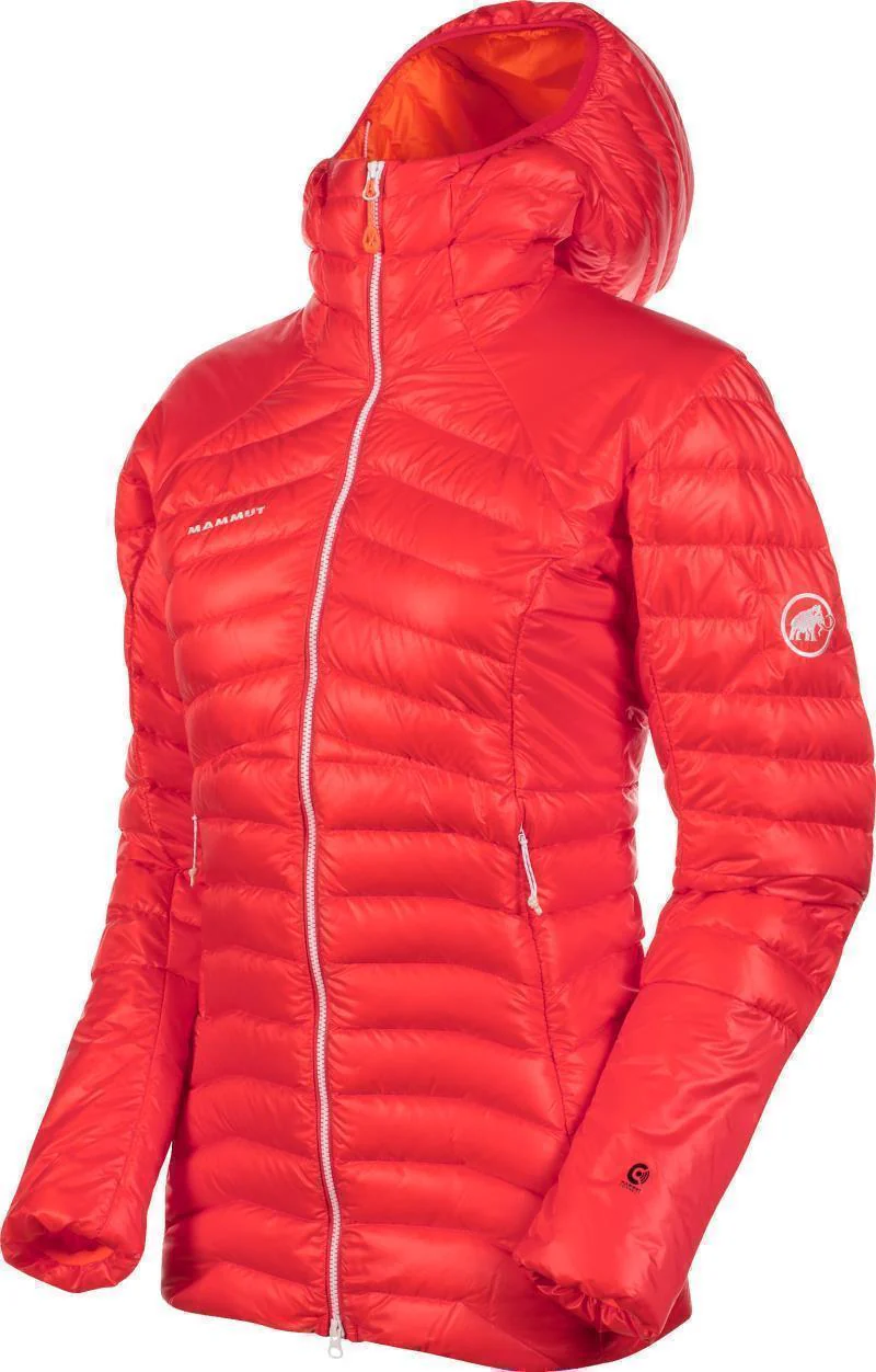 Eigerjoch Advanced IN Hooded Jacket - Womens