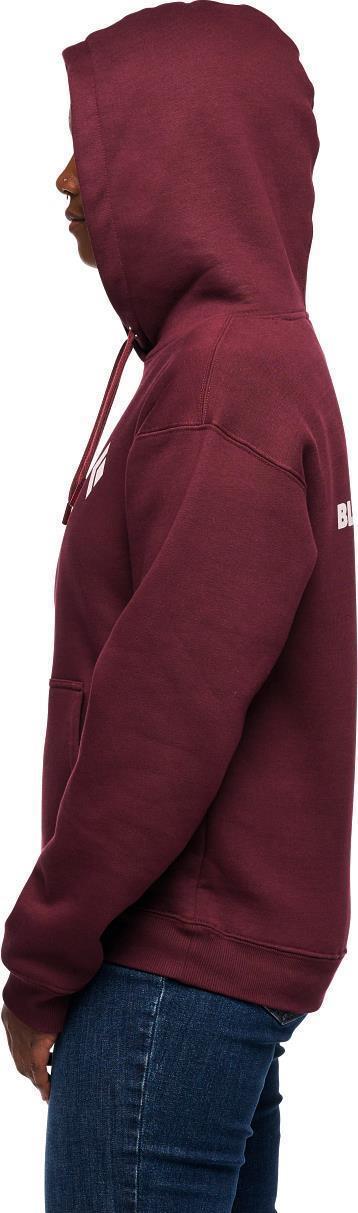 Equipment For Alpinists Pullover Hoody - Womens - Image 4