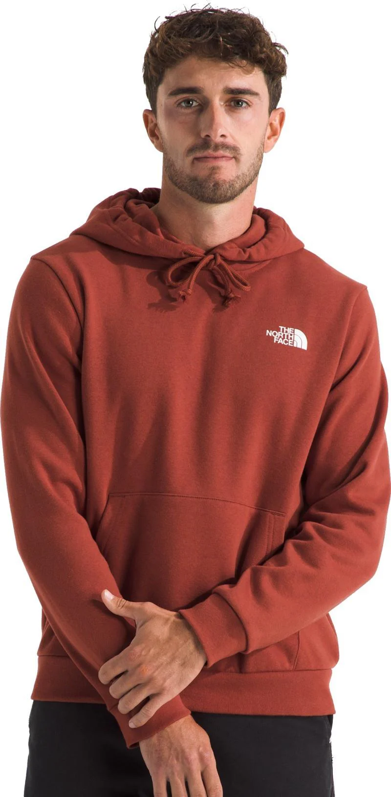 Evolution Box NSE Hoodie - Mens - Image 19
