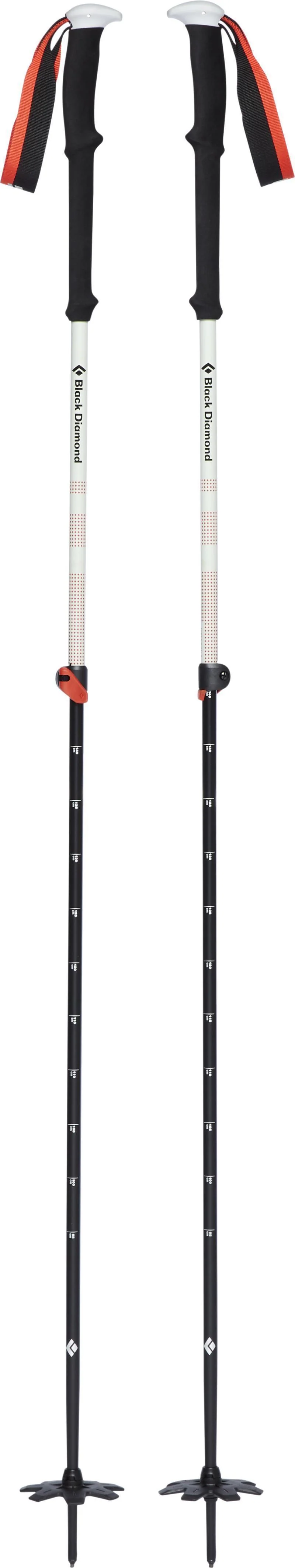 Expedition 2 Ski Poles - Image 2