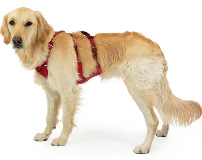 Flagline Harness - Image 20