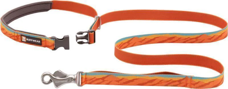 Flat Out Leash - Image 33