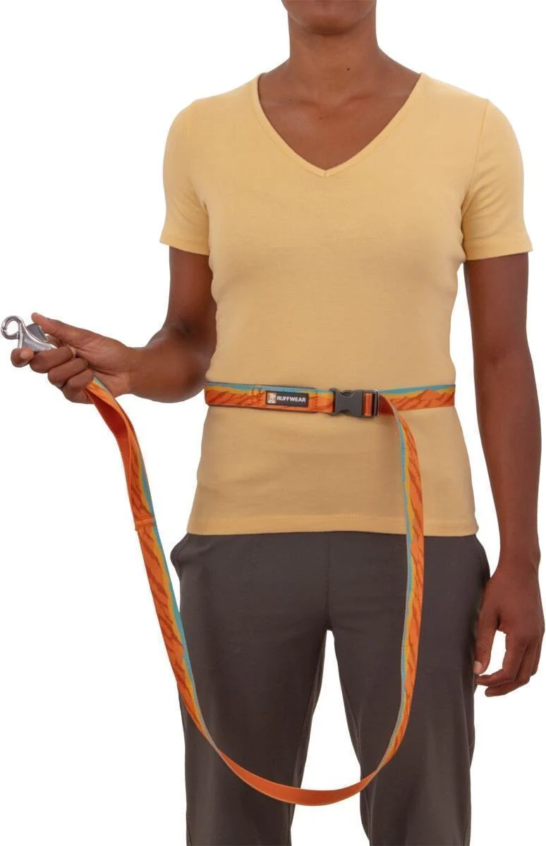 Flat Out Leash - Image 37