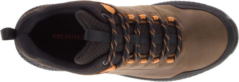 Forestbound WTPF - Mens - Image 19