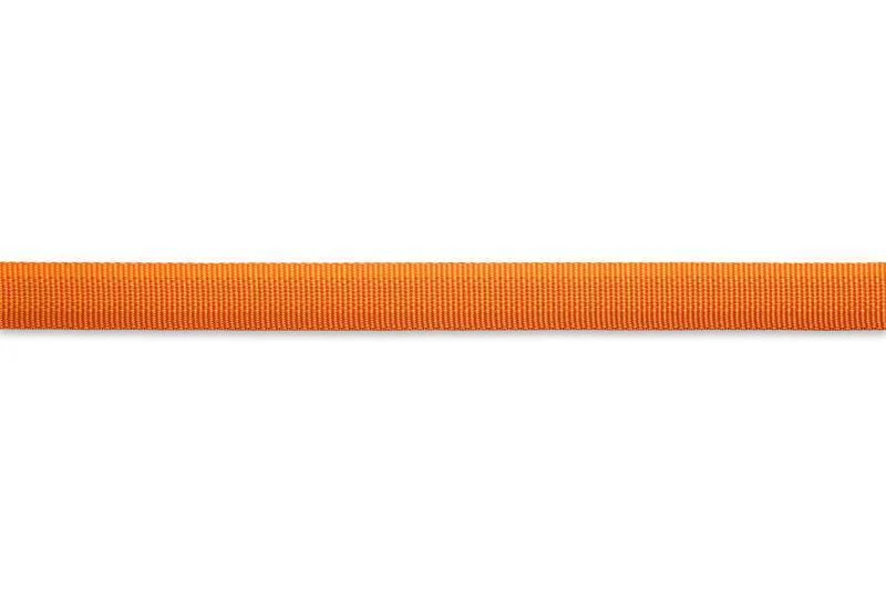 Front Range Collar - Image 3