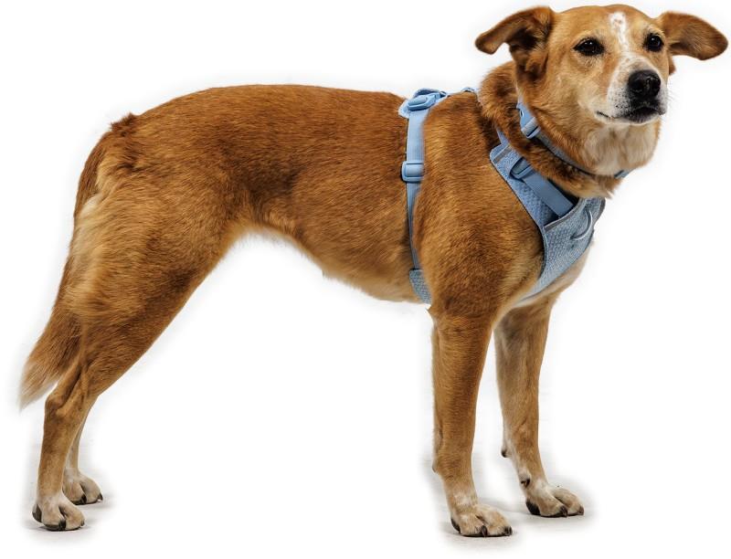 Front Range Flex Harness - Image 11