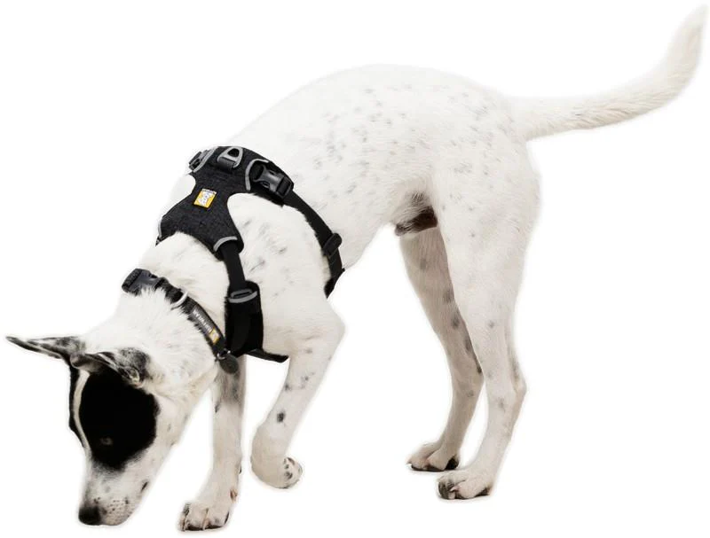 Front Range Flex Harness - Image 4