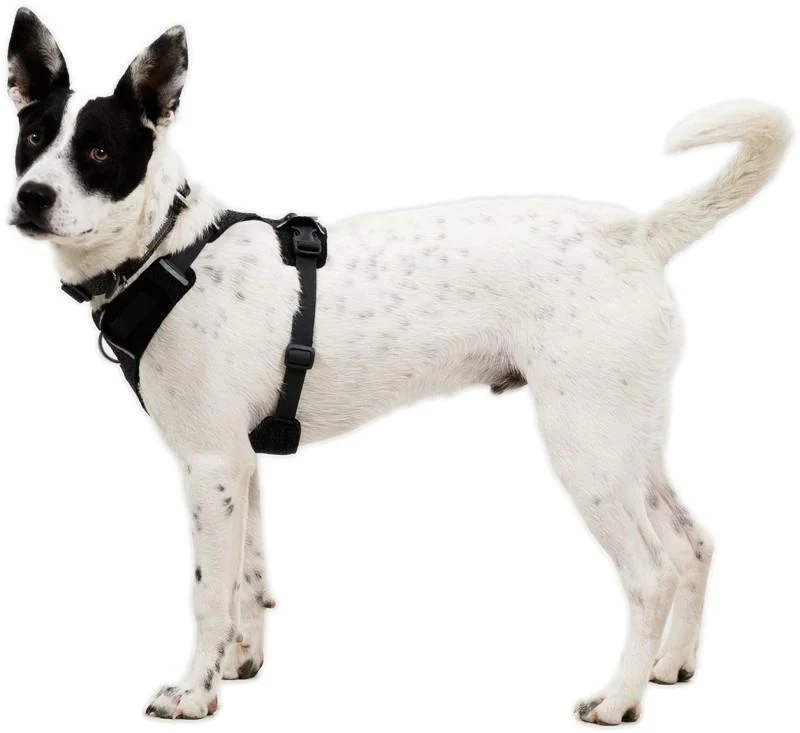 Front Range Flex Harness - Image 5