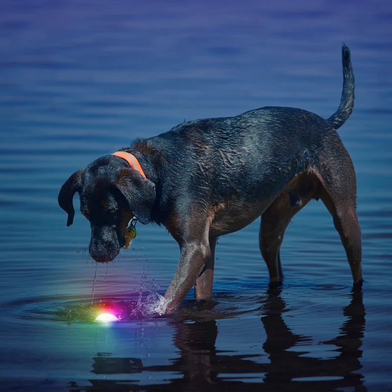 GlowStreak LED Ball - Disc-O - Image 2