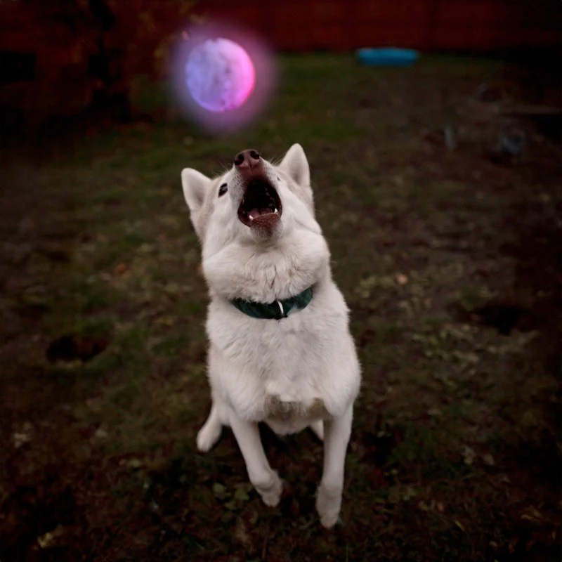 GlowStreak LED Ball - Disc-O - Image 8