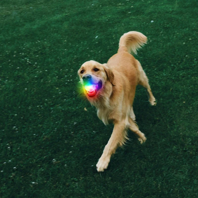 GlowStreak Rechargeable LED Ball - Disc-O - Image 5