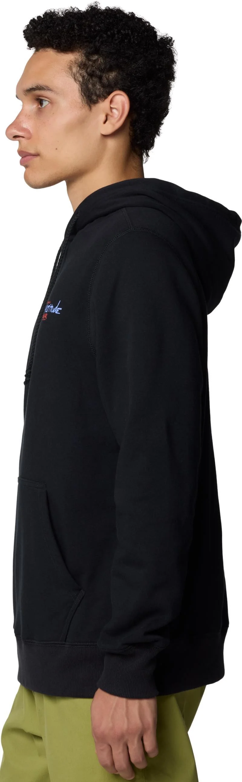 Hardwear Tri-Color Logo Hoody - Mens - Image 2