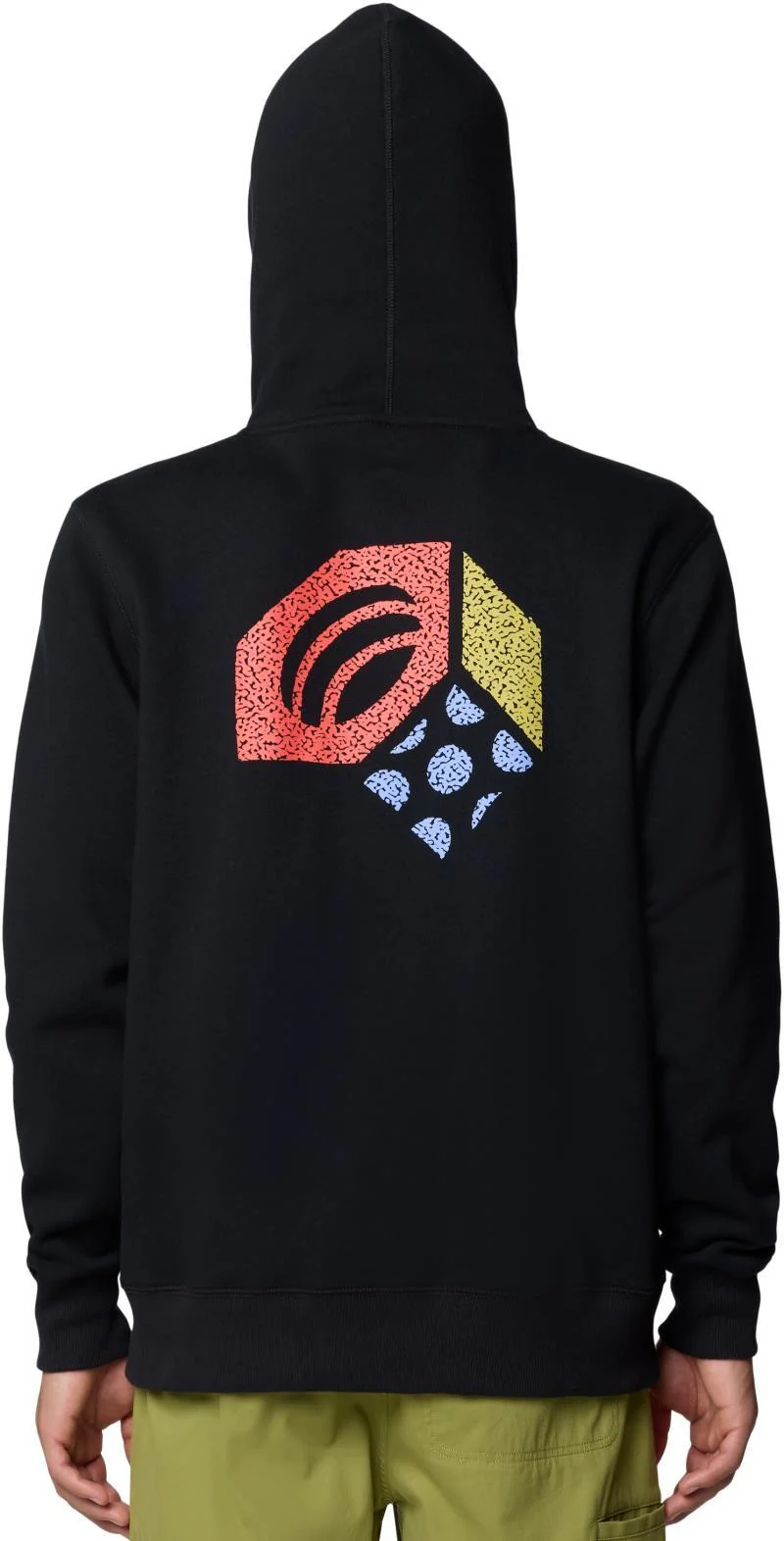 Hardwear Tri-Color Logo Hoody - Mens - Image 3
