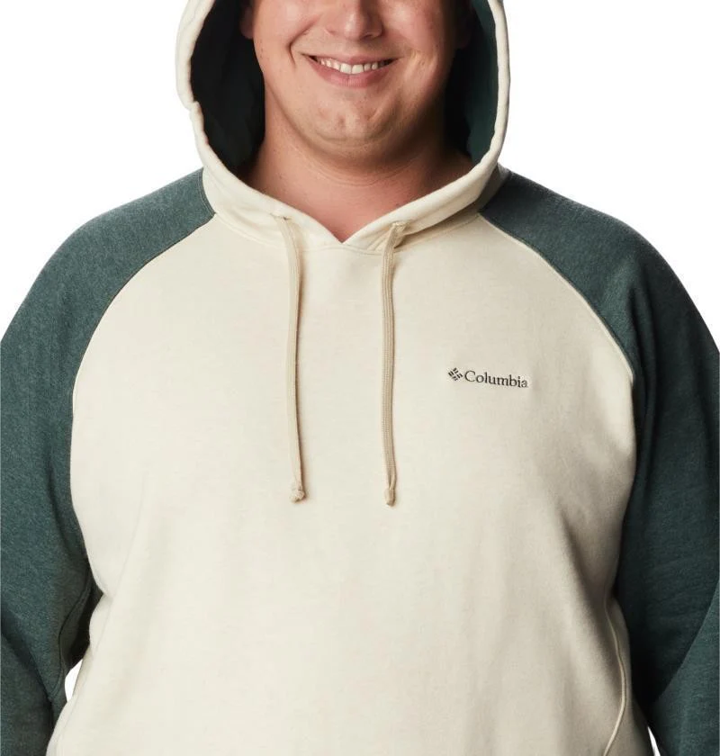 Hart Mountain II Hoodie - Big - Mens - Image 10