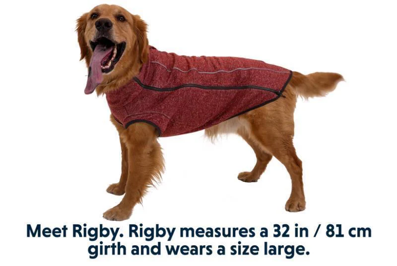 Hemp Hound Sweater - Image 5