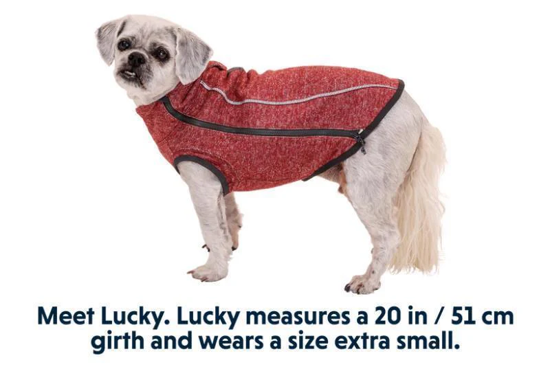Hemp Hound Sweater - Image 6