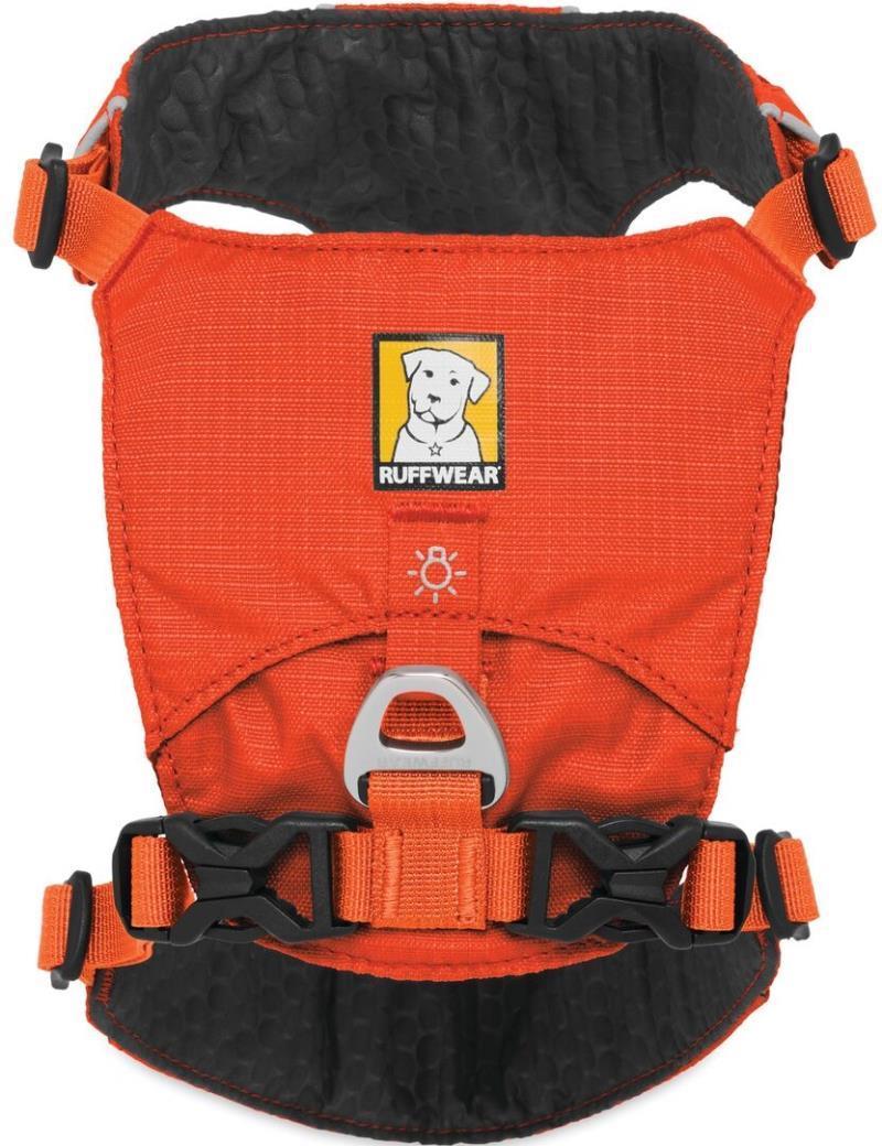 Hi & Light Harness - Image 7