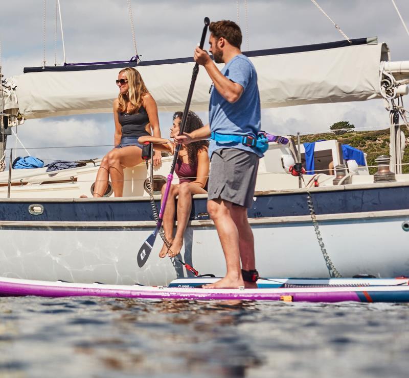 Hybrid Carbon 3pc Cam Lock Paddle - Purple - Image 6